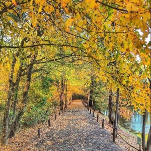 A Learn Bright Customer