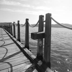 A Avida CBD Customer