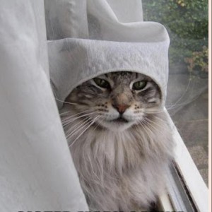 A Avida CBD Customer