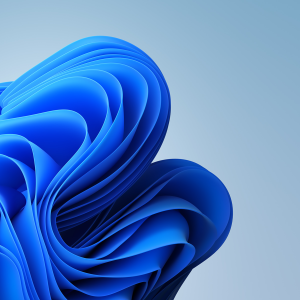 A AR15Discounts.com Customer