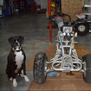 A AR15Discounts.com Customer