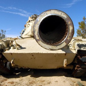 A Busted Fishing Store Customer