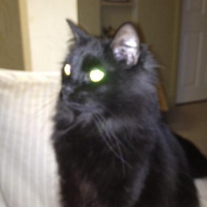 A AR15Discounts.com Customer