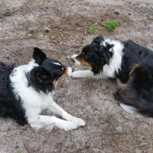 A HomeLiving.nl Customer