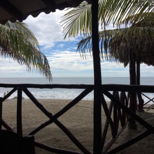 A Learn Bright Customer