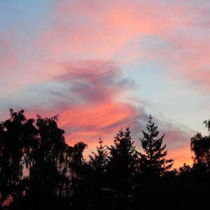 A lovethislook.de Customer