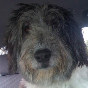 A The Wicked Griffin Customer