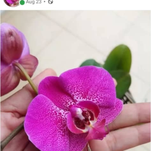 A MyGiftCardSupply Customer