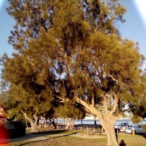 A Ecology Skincare Customer