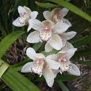 A Ecology Skincare Customer