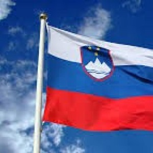 A Good4Dogs Customer