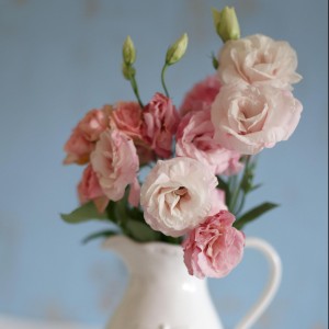 A Simply Cushions Customer