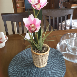 A Learn Bright Customer