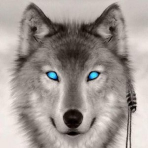 A purecbdnow.com Customer