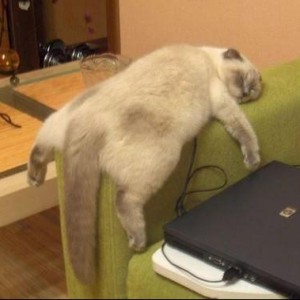 A 1791 Gunleather Customer