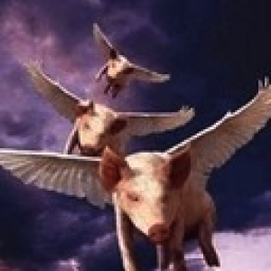 A purecbdnow.com Customer