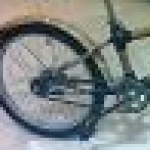 A Ecology Skincare Customer