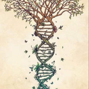 A purecbdnow.com Customer