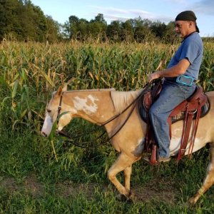 A AR15Discounts.com Customer