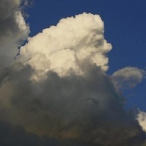 A Simply Cushions Customer