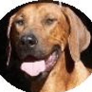 A Oh My Paws Customer