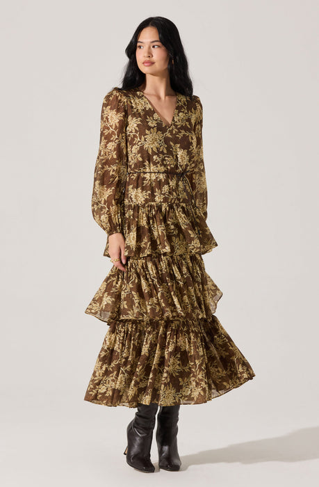 blue dress for baby girl Into The Garden Chocolate Brown Multi Floral Print Maxi Dress main image 1