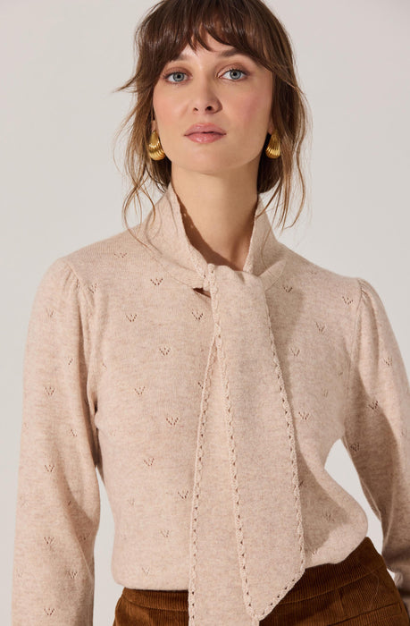 Ovalia Scarf Neck Sweater - ASTR the Label