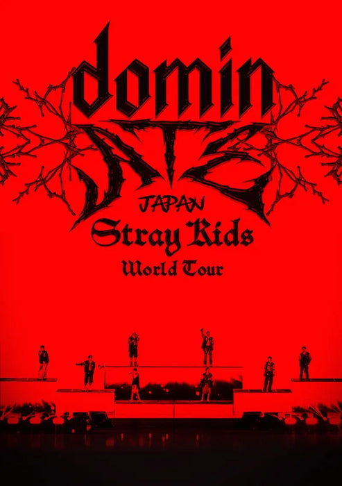 straykids dominATE JAPAN タワレコC 映画半券特典 straykids dominATE JAPAN ブルーレイ 映画半券 タワレコ Stray Kids