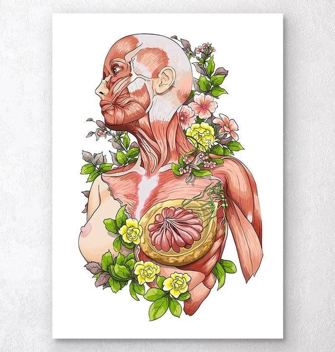 Female body anatomy art - White – Codex Anatomicus
