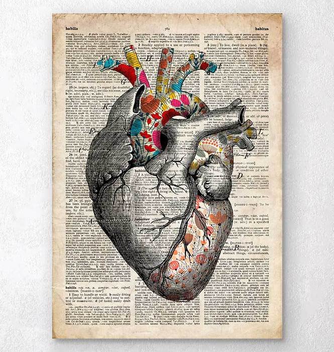 Floral pattern heart anatomy art - Codex Anatomicus