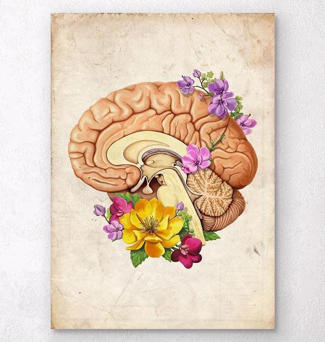 Floral brain anatomy art print - Codex Anatomicus