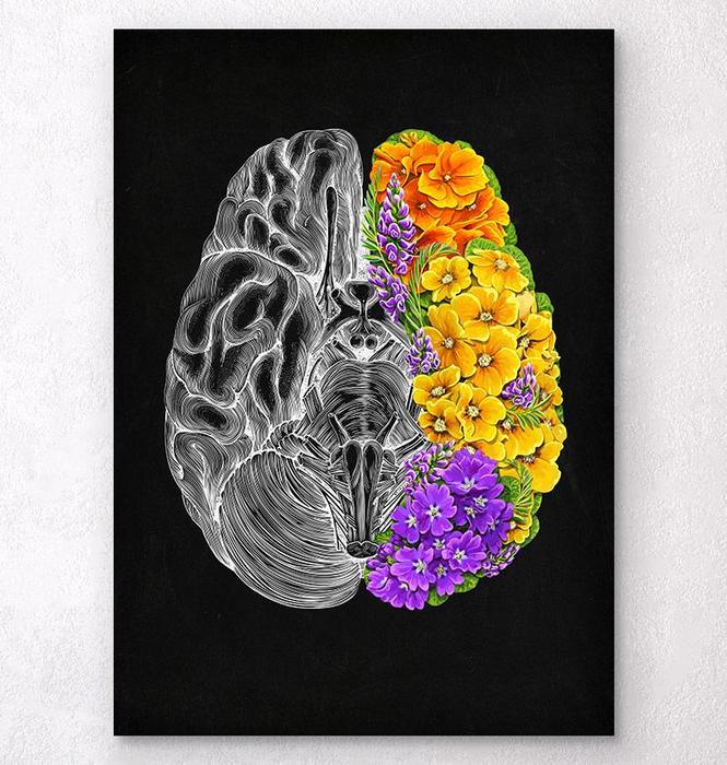 Floral brain anatomy art print - Codex Anatomicus