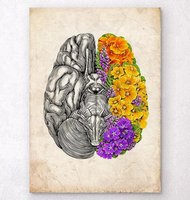 Floral brain anatomy art print on old paper - Codex Anatomicus