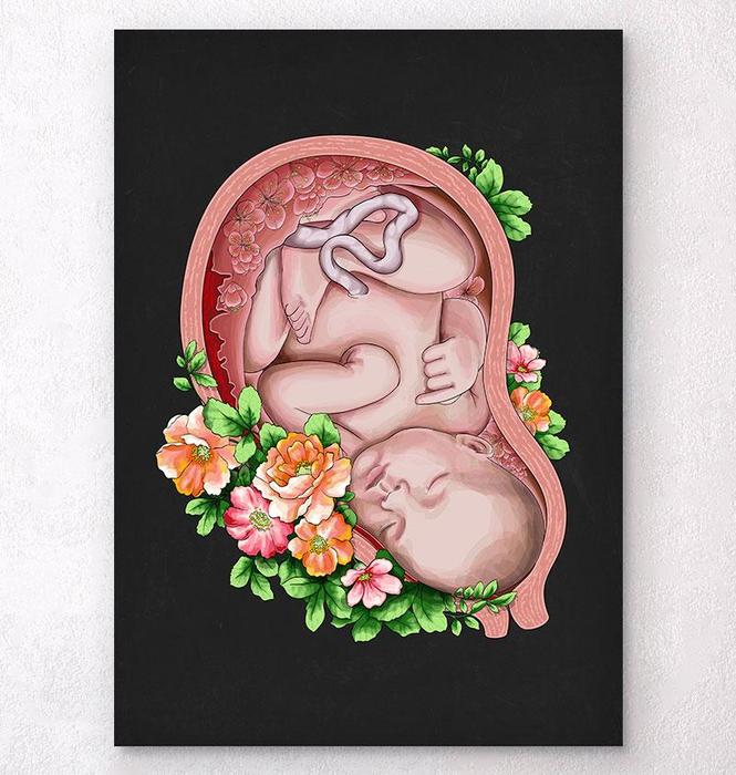 絵画 the memory in the womb Fetus in a womb anatomy art print - Codex Anatomicus