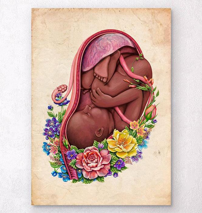 Fetus in a womb anatomy art print - Codex Anatomicus