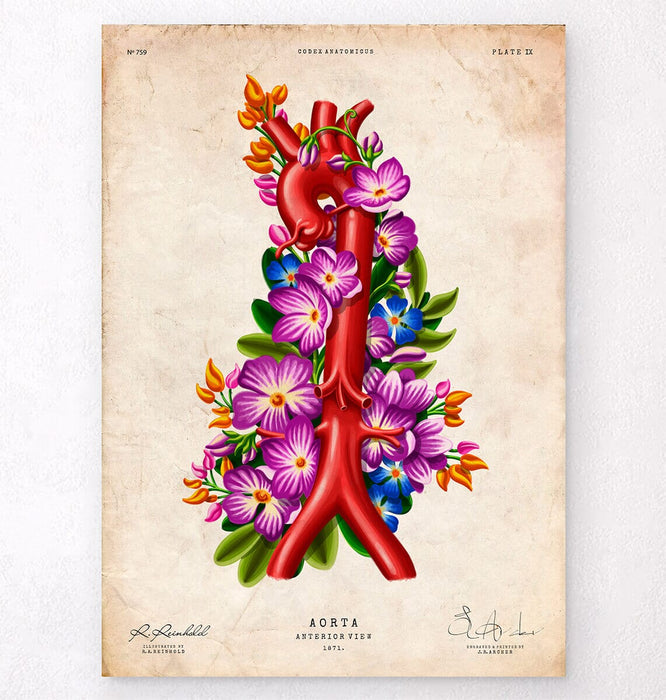 ANATOMIA BAROCCA アート・デザイン Floral Aorta - Anatomy Art - Codex Anatomicus