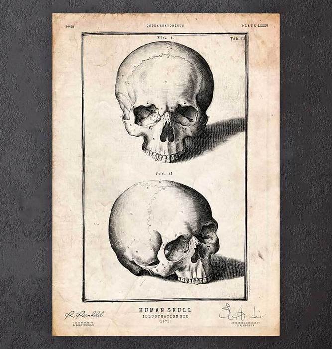 Skull on book アクリル原画 Skull on book アクリル原画