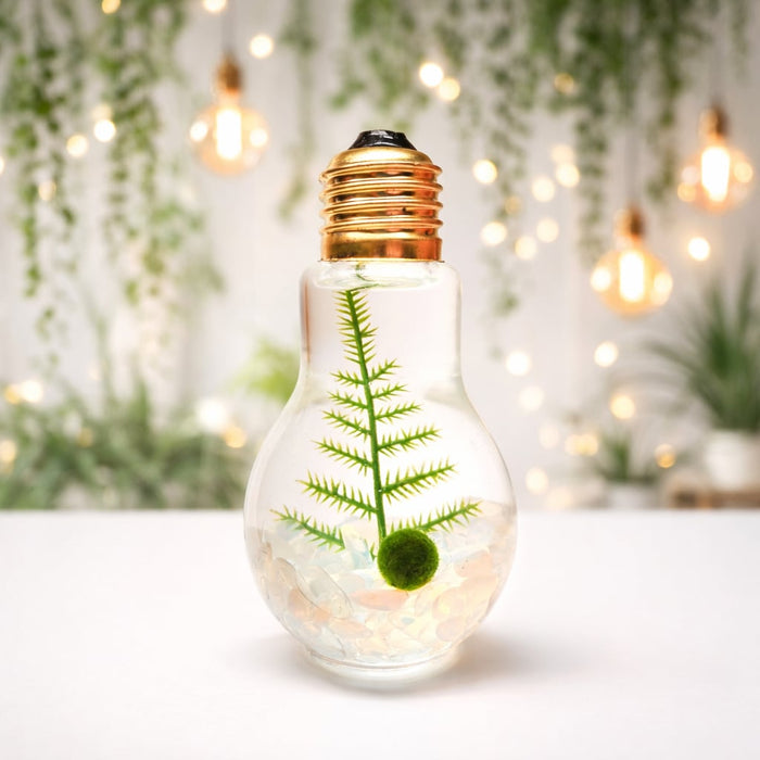 Japanese Marimo Bobble-Head Figurine