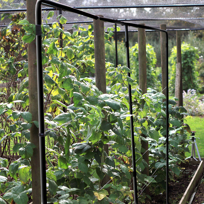 Raspberry Support | Plant Frames | Agriframes USA