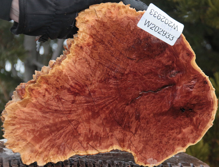 XF Figured Ziricote Live Edge Lumber (Guitar Billet) – Cook Woods