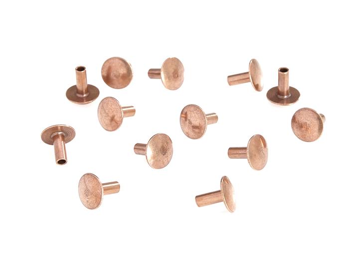 Replacement Rivets for Series 1 Bike Saddles | Selle Anatomica